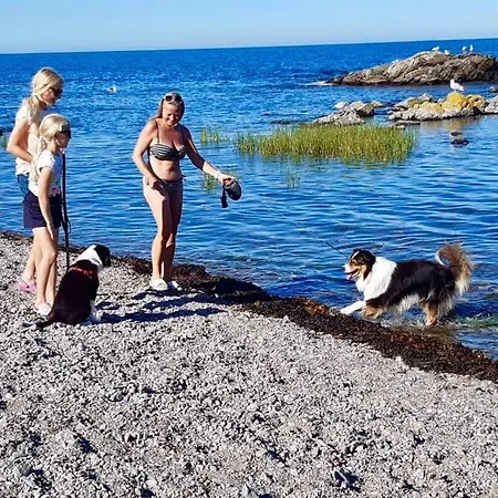 Sannes Familiecamping Camping Gudhjem
